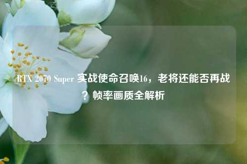 RTX 2070 Super 实战使命召唤16,老将还能否再战?帧率画质全解析