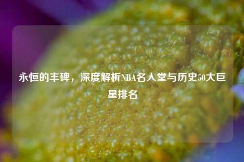 永恒的丰碑，深度解析NBA名人堂与历史50大巨星排名