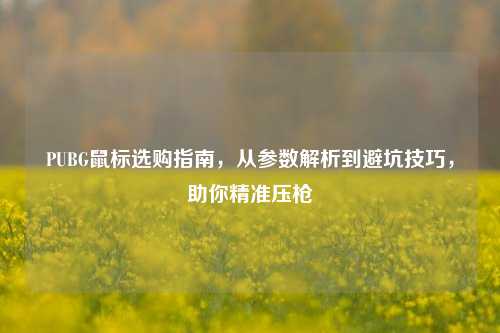 PUBG鼠标选购指南,从参数解析到避坑技巧,助你精准压枪