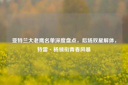 亚特兰大老鹰名单深度盘点,后场双星解体,特雷·杨领衔青春风暴