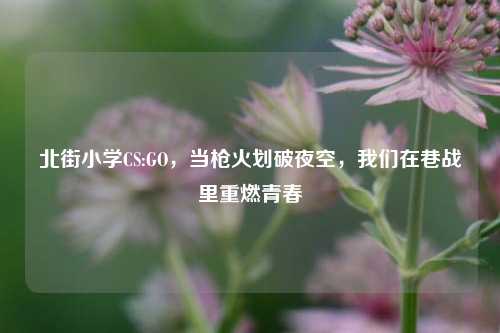 北街小学CS:GO,当枪火划破夜空,我们在巷战里重燃青春