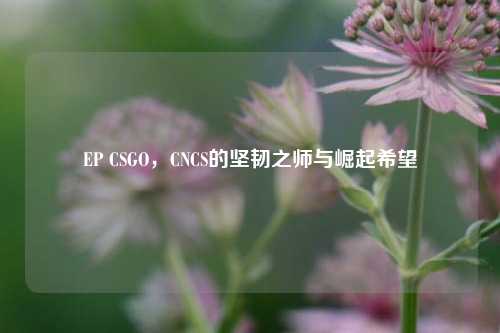 EP CSGO,CNCS的坚韧之师与崛起希望