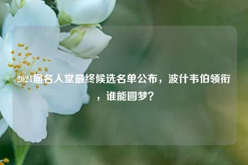 2021届名人堂最终候选名单公布，波什韦伯领衔，谁能圆梦？