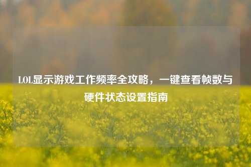 LOL显示游戏工作频率全攻略，一键查看帧数与硬件状态设置指南