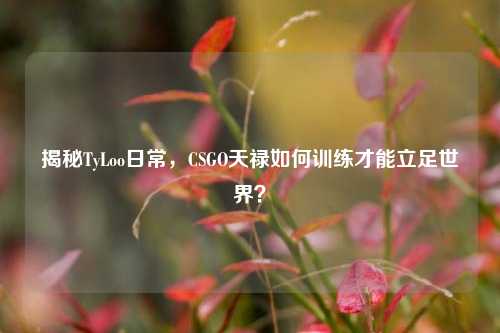 揭秘TyLoo日常,CSGO天禄如何训练才能立足世界?