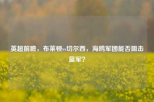 英超前瞻,布莱顿vs切尔西,海鸥军团能否阻击蓝军?
