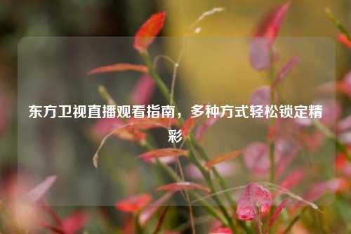 东方卫视直播观看指南,多种方式轻松锁定精彩