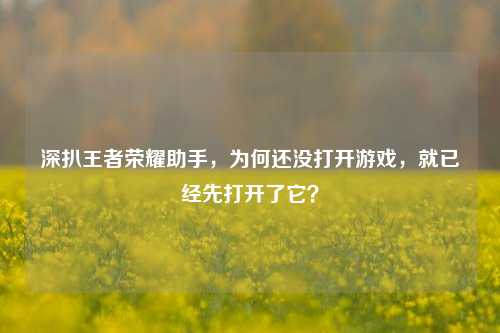 深扒王者荣耀助手，为何还没打开游戏，就已经先打开了它？