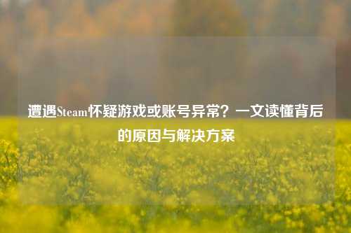 遭遇Steam怀疑游戏或账号异常？一文读懂背后的原因与解决方案