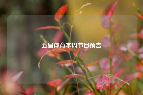 五星体育本周节目预告
