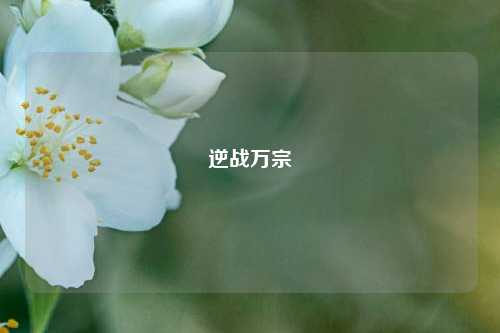 逆战万宗