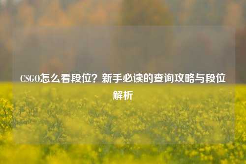 CSGO怎么看段位？新手必读的查询攻略与段位解析
