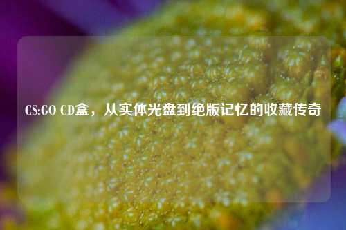CS:GO CD盒,从实体光盘到绝版记忆的收藏传奇