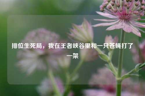 排位生死局，我在王者峡谷里和一只苍蝇打了一架