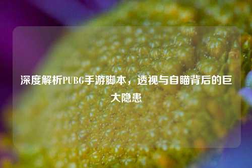 深度解析PUBG手游脚本,透视与自瞄背后的巨大隐患