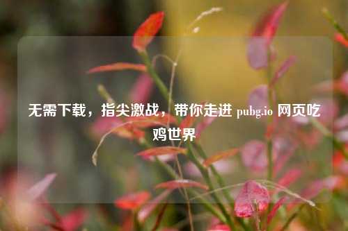 无需下载,指尖激战,带你走进 pubg.io 网页吃鸡世界