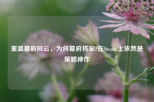 重温幕府风云,为何幕府将军2在Steam上依然是策略神作