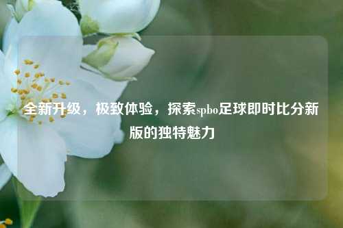 全新升级,极致体验,探索spbo足球即时比分新版的独特魅力