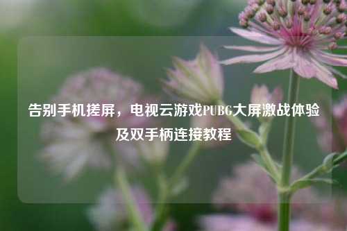告别手机搓屏,电视云游戏PUBG大屏激战体验及双手柄连接教程