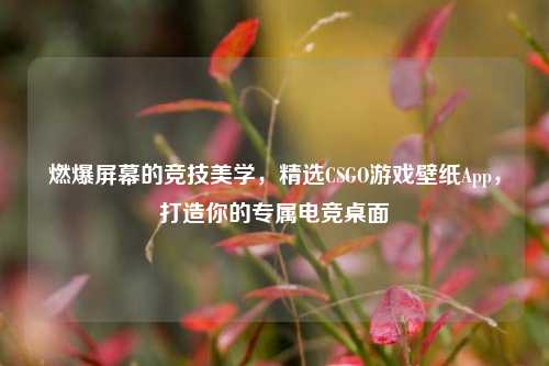 燃爆屏幕的竞技美学,精选CSGO游戏壁纸App,打造你的专属电竞桌面