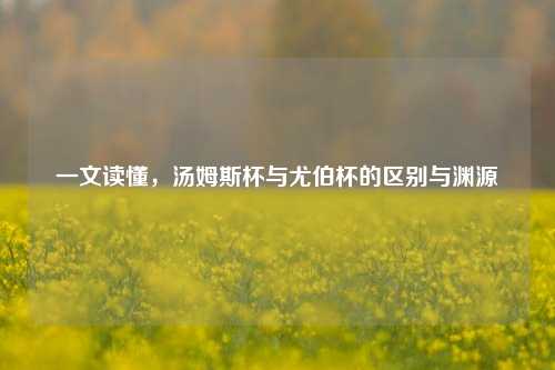 一文读懂,汤姆斯杯与尤伯杯的区别与渊源