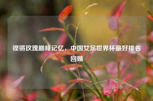 铿锵玫瑰巅峰记忆,中国女足世界杯最好排名回顾