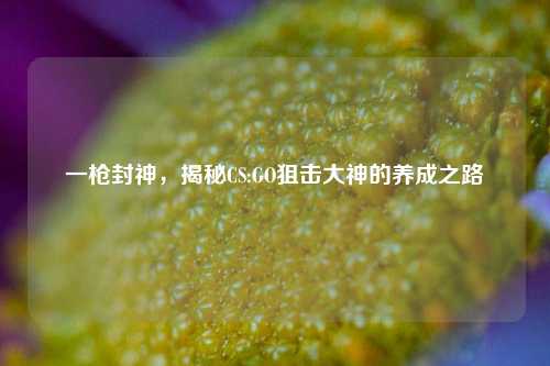 一枪封神,揭秘CS:GO狙击大神的养成之路