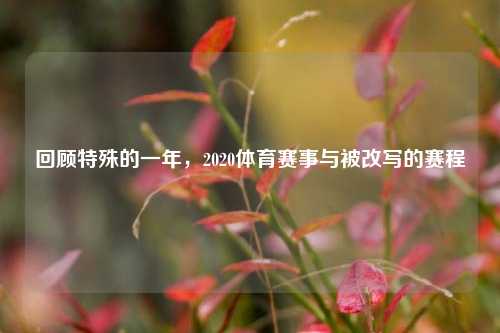 回顾特殊的一年,2020体育赛事与被改写的赛程
