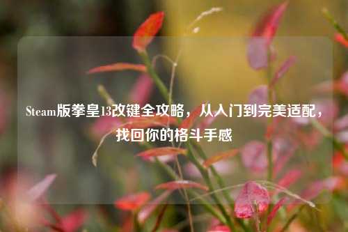 Steam版拳皇13改键全攻略,从入门到完美适配,找回你的格斗手感