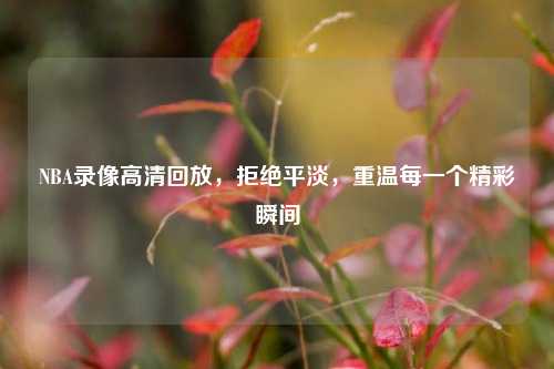 NBA录像高清回放,拒绝平淡,重温每一个精彩瞬间