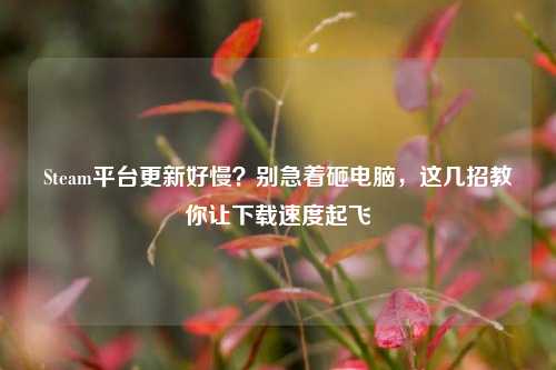 Steam平台更新好慢？别急着砸电脑，这几招教你让下载速度起飞