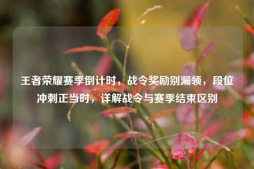 王者荣耀赛季倒计时,战令奖励别漏领,段位冲刺正当时,详解战令与赛季结束区别