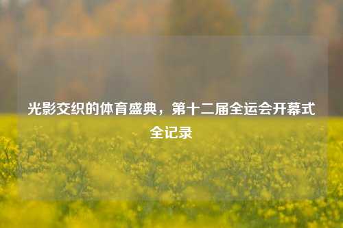 光影交织的体育盛典,第十二届全运会开幕式全记录