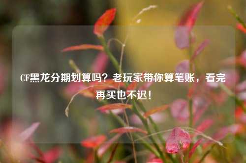 CF黑龙分期划算吗?老玩家带你算笔账,看完再买也不迟!