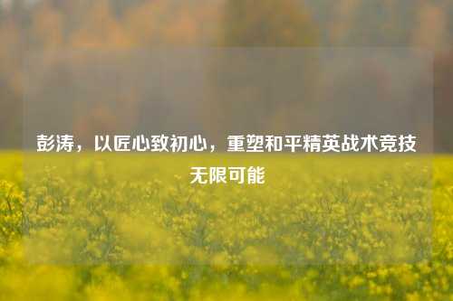 彭涛，以匠心致初心，重塑和平精英战术竞技无限可能
