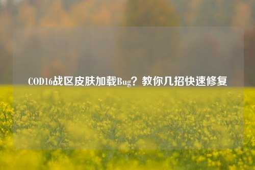 COD16战区皮肤加载Bug?教你几招快速修复