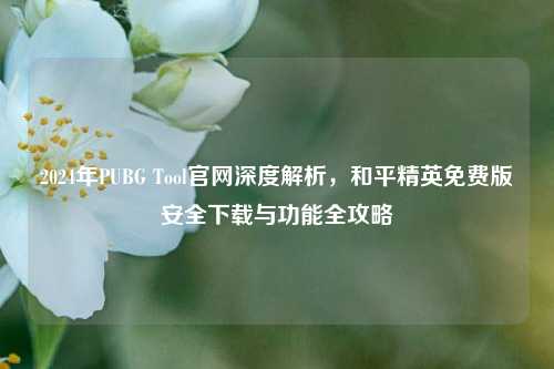 2024年PUBG Tool官网深度解析，和平精英免费版安全下载与功能全攻略