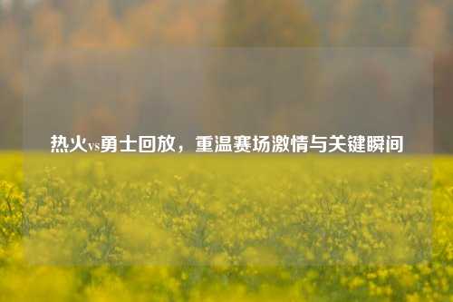 热火vs勇士回放,重温赛场激情与关键瞬间