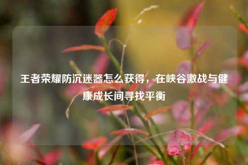 王者荣耀防沉迷器怎么获得，在峡谷激战与健康成长间寻找平衡