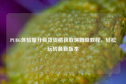 PUBG体验服升级及资格获取保姆级教程,轻松玩转最新版本