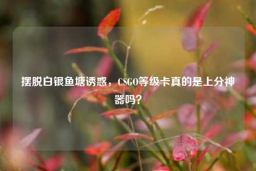 摆脱白银鱼塘诱惑，CSGO等级卡真的是上分神器吗？
