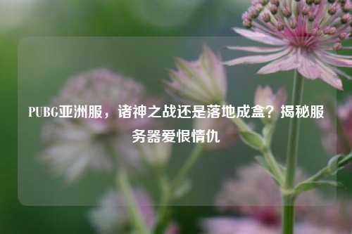 PUBG亚洲服,诸神之战还是落地成盒?揭秘服务器爱恨情仇