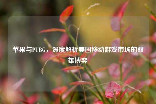 苹果与PUBG,深度解析美国移动游戏市场的双雄博弈