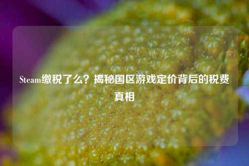 Steam缴税了么？揭秘国区游戏定价背后的税费真相