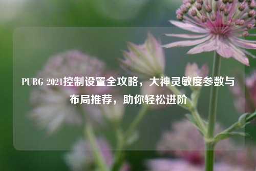 PUBG 2021控制设置全攻略，大神灵敏度参数与布局推荐，助你轻松进阶