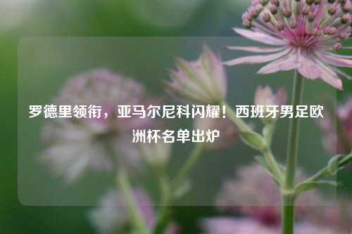 罗德里领衔,亚马尔尼科闪耀!西班牙男足欧洲杯名单出炉