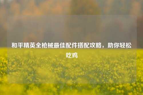 和平精英全枪械最佳配件搭配攻略,助你轻松吃鸡