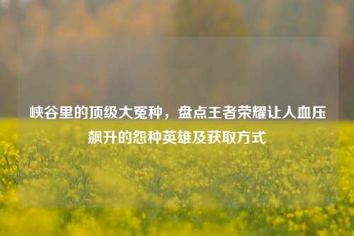 峡谷里的顶级大冤种，盘点王者荣耀让人血压飙升的怨种英雄及获取方式