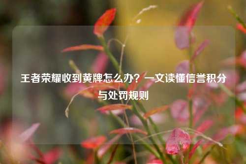 王者荣耀收到黄牌怎么办？一文读懂信誉积分与处罚规则