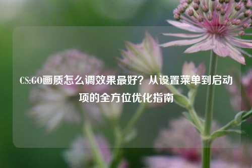 CS:GO画质怎么调效果最好？从设置菜单到启动项的全方位优化指南